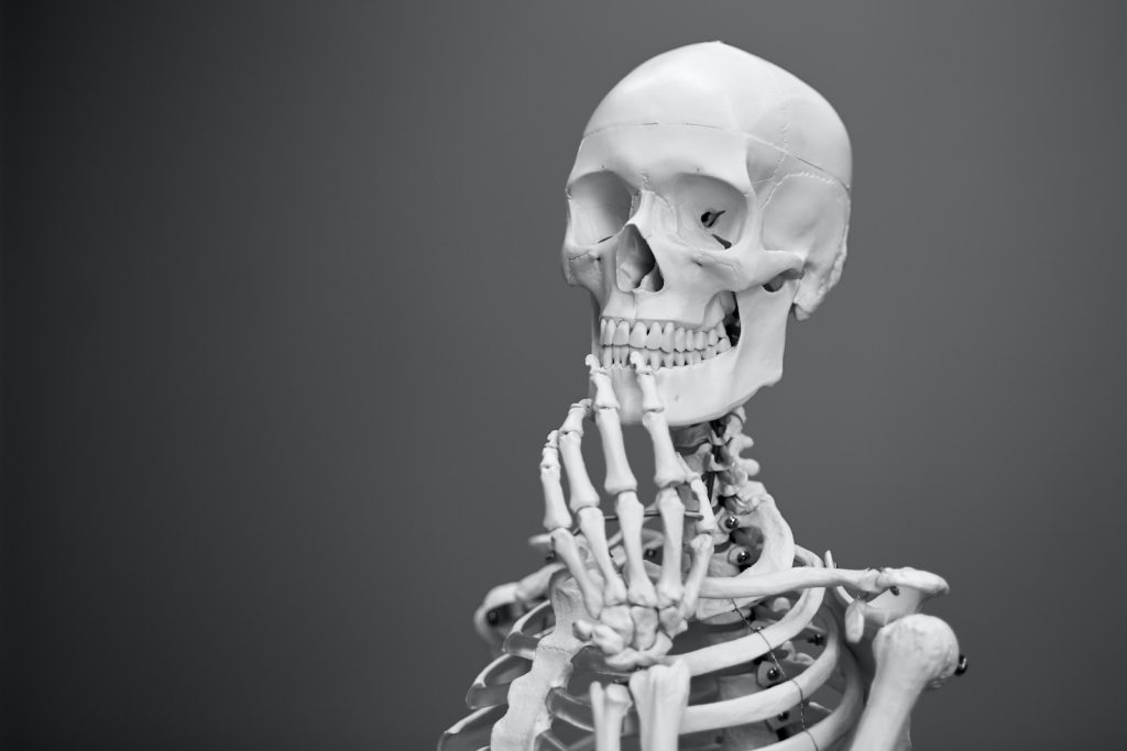 Un squelette se tient sur un fond gris.