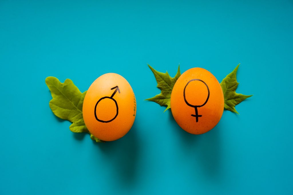 Deux œufs portant un symbole masculin et féminin.